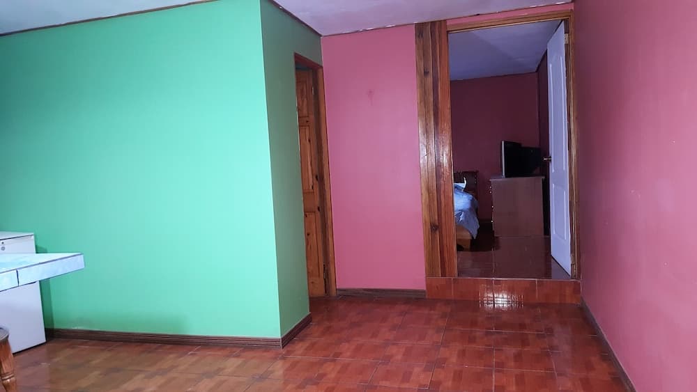 Aparthotel Gonzalez, Cañas, photo 3