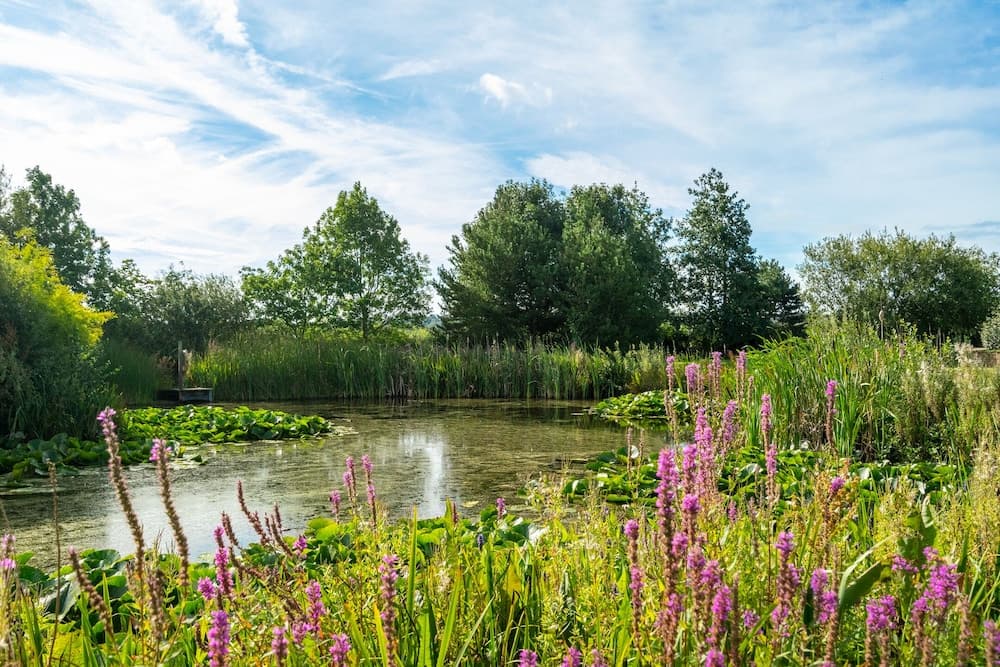 14 Acres, Market Harborough