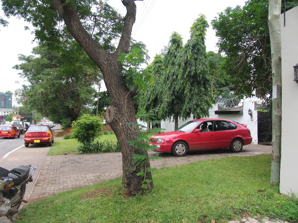 Kwesi Affum Apartments, Accra, photo 5