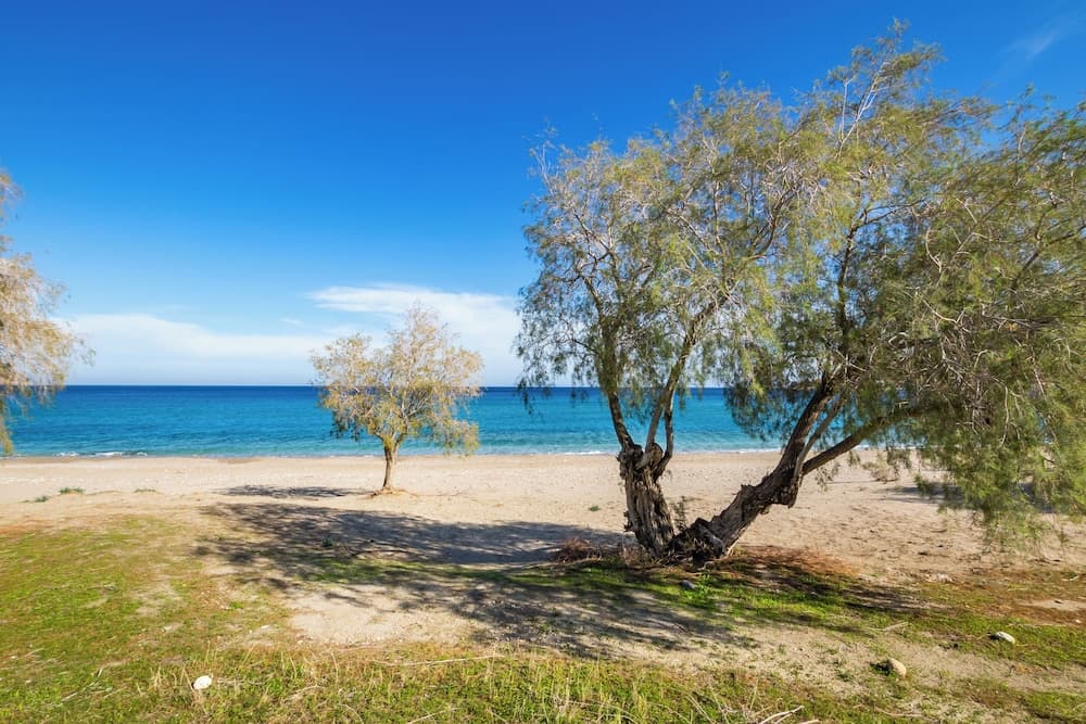 Sun Beach Apartments, Karpathos, photo 5