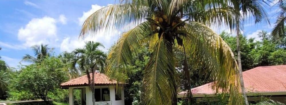 Cabinas Corazon, Tamarindo, photo 6