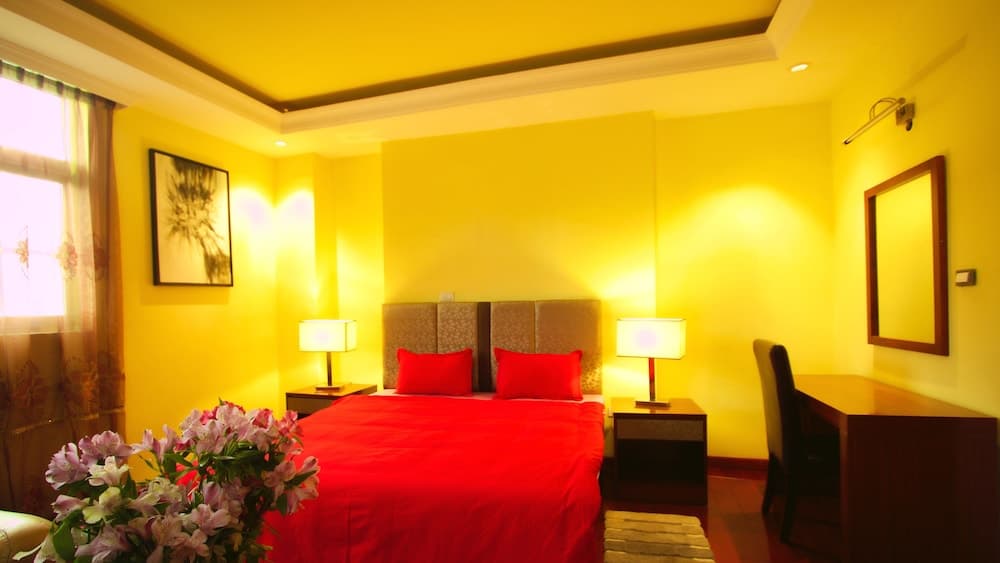 YINM Luxury Apartment, Addis Ababa, photo 6