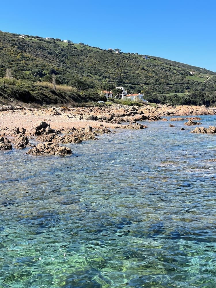 Résidence Punta paliagi, Calcatoggio, photo 3