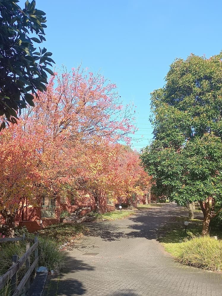 Mt Waverley Townhouses, Mount Waverley, photo 3