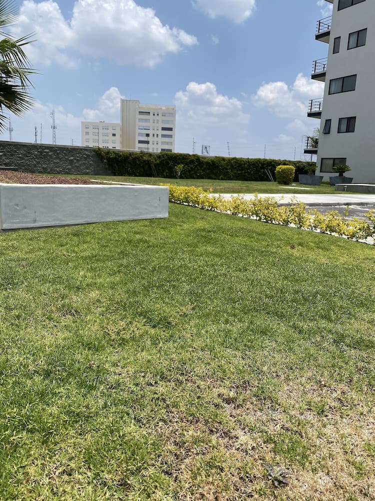 Ventura Apartments, Celaya, photo 6
