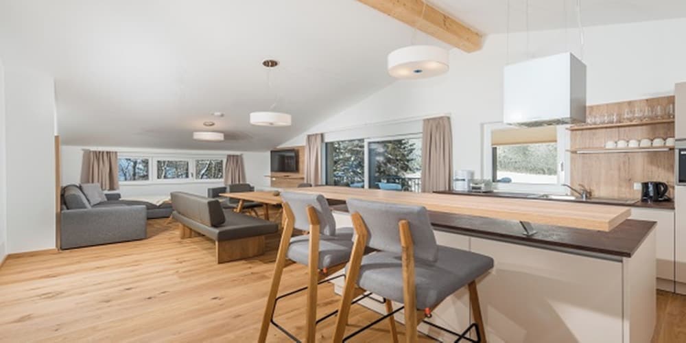 Panorama Lodge Premium Apartments, Schladming, photo 3
