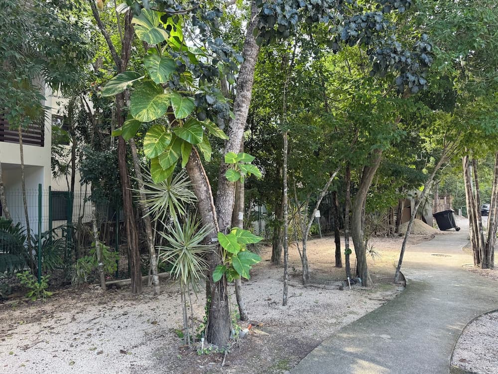 Albra Tulum, Tulum, photo 4
