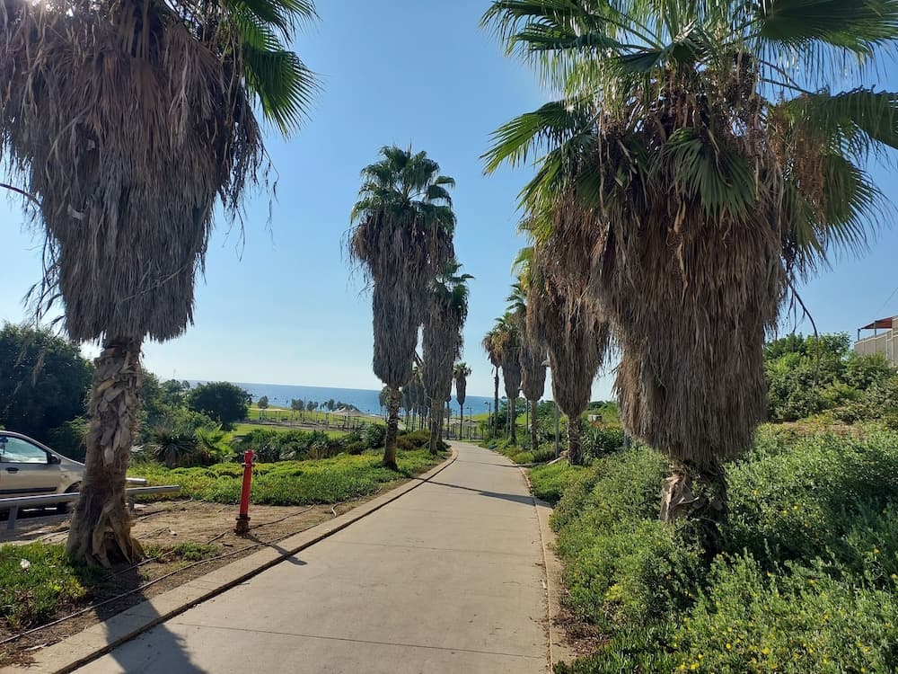 Jaffa Getaway, Tel Aviv