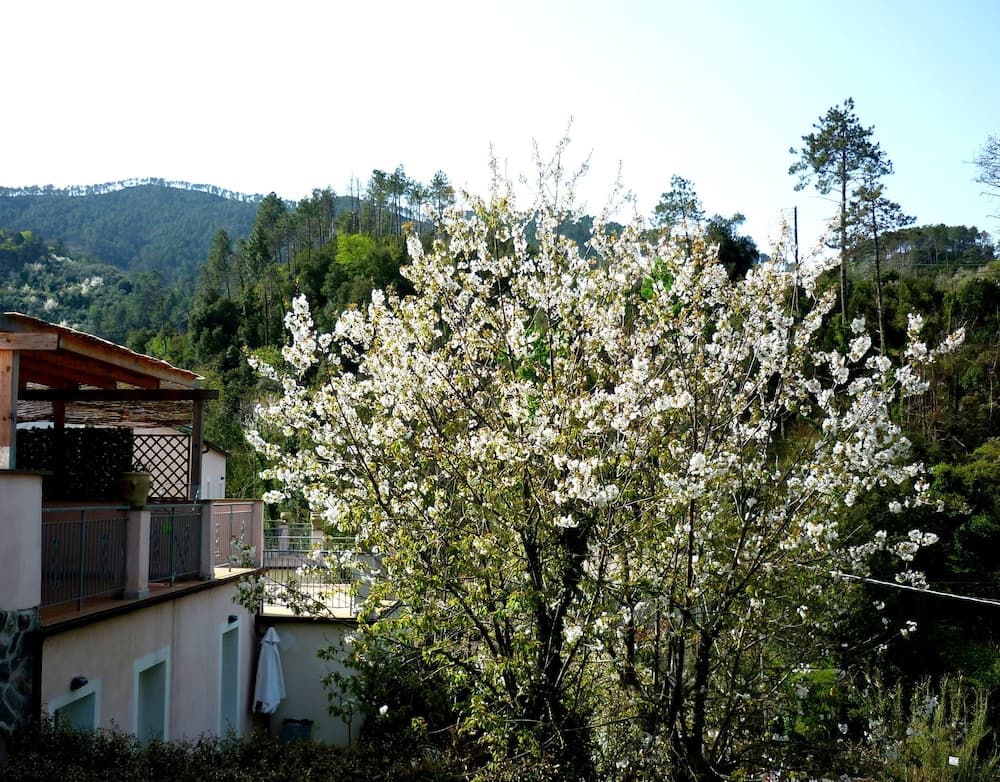 Resort Costa Morroni, Levanto, photo 5