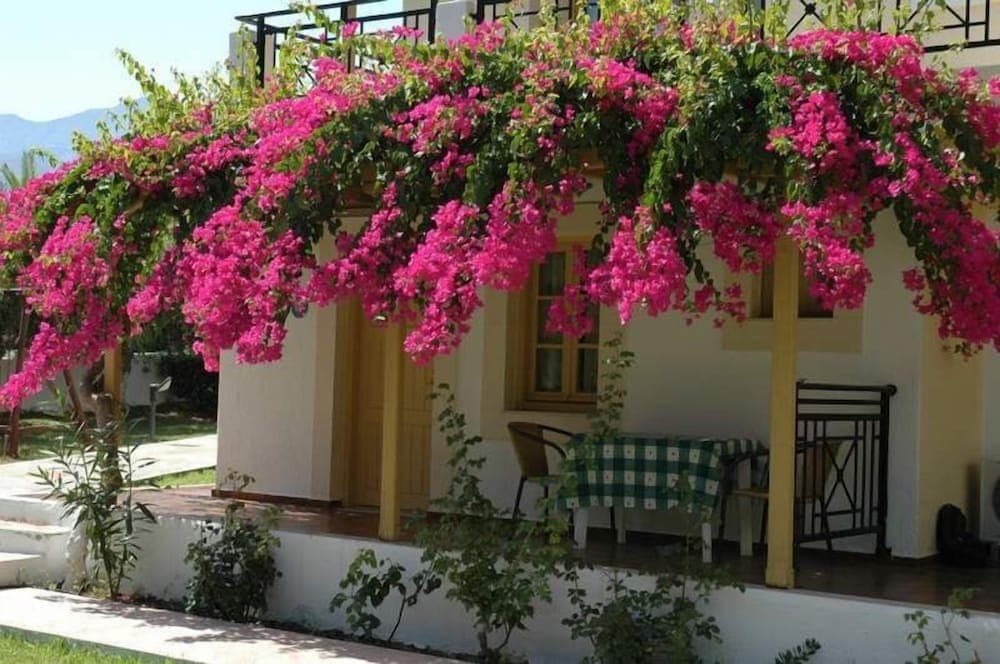 Sergiani Garden, photo 3