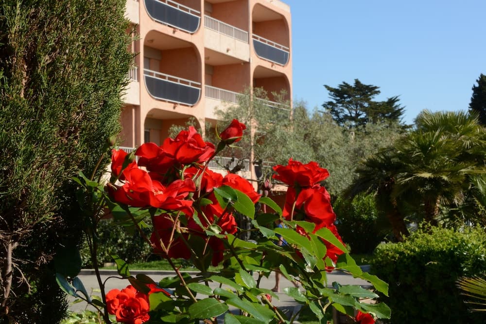 Eden Azur, Vallauris, photo 5