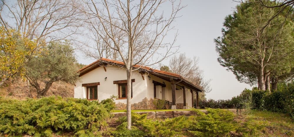 Finca La Sayuela, Candeleda, photo 5
