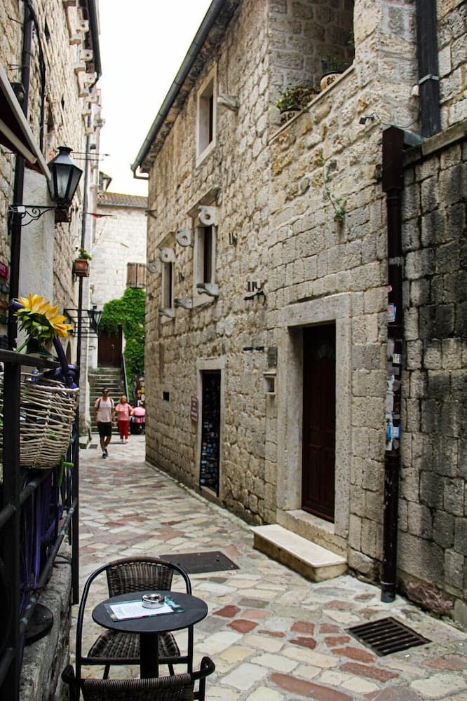 Vinograd, Kotor, photo 2