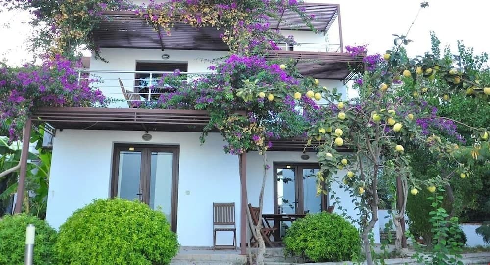 Milport Hotel Bodrum, Bitez, photo 2