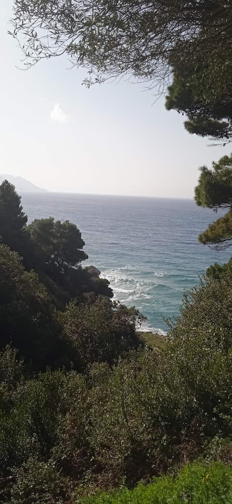 innjoy.space, Corfu, photo 3