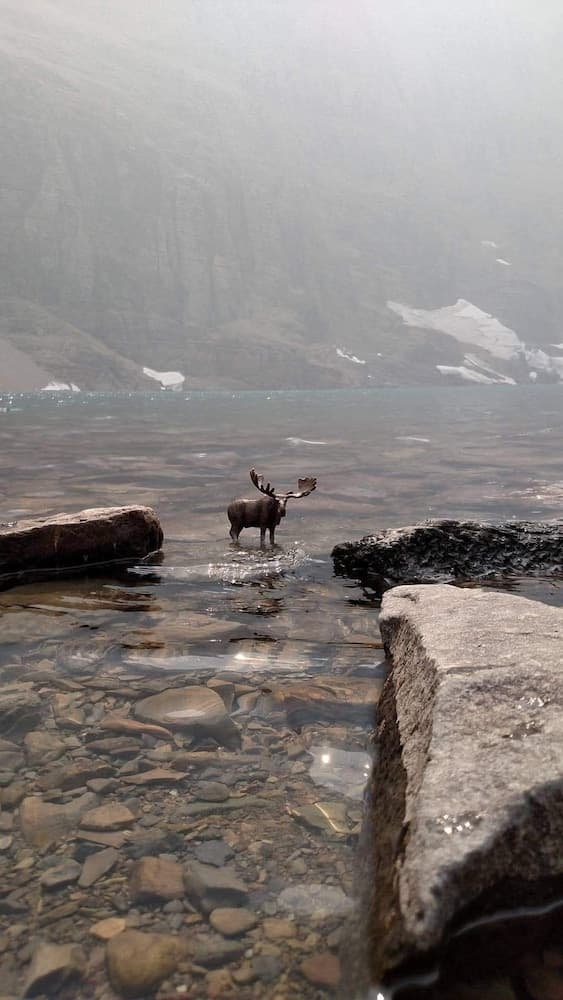Paradise Park, East Glacier Park, photo 5
