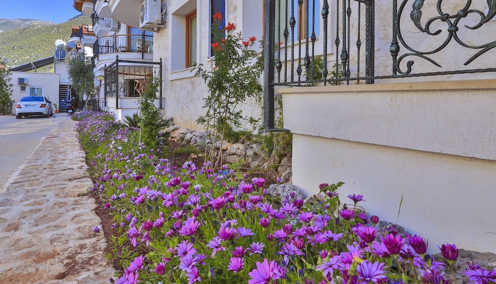 Cinarlar Apart Hotel, Kas