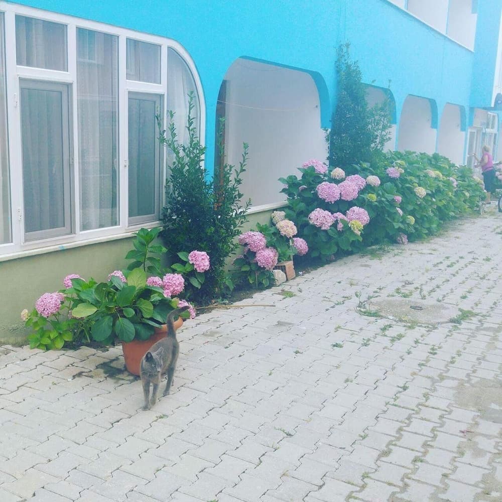 Ada Motel, Marmara, photo 3