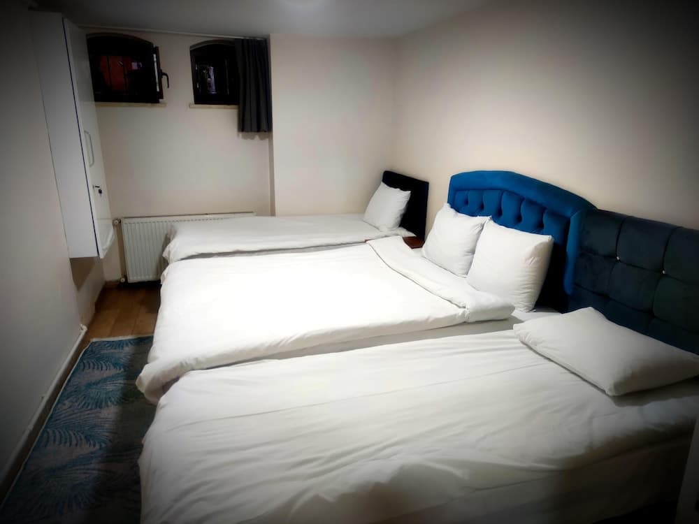 Mimoza İstiklal Apart hotel, Istanbul, photo 2