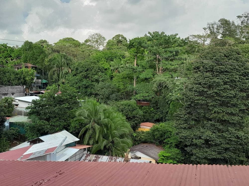 Natural Pacific Suites, Quepos, photo 3