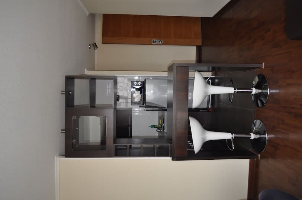 Relen Suites Bellas Artes, Santiago, photo 6