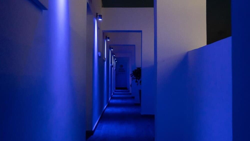 Nissi Adonis Suites, Ayia Napa, photo 5