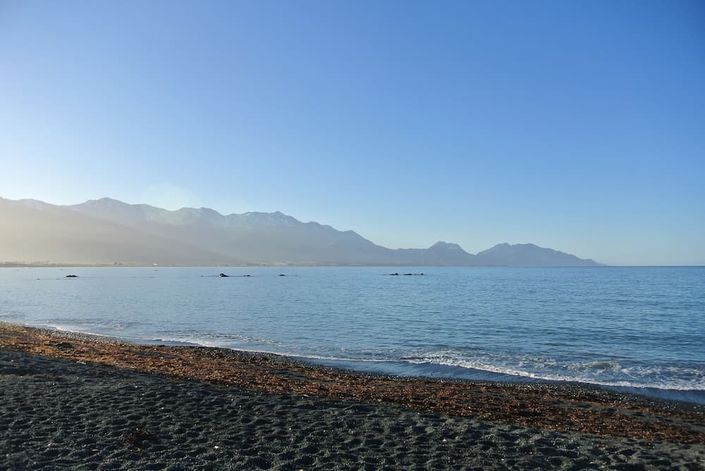 Blue Seas Motel, Kaikoura, photo 2