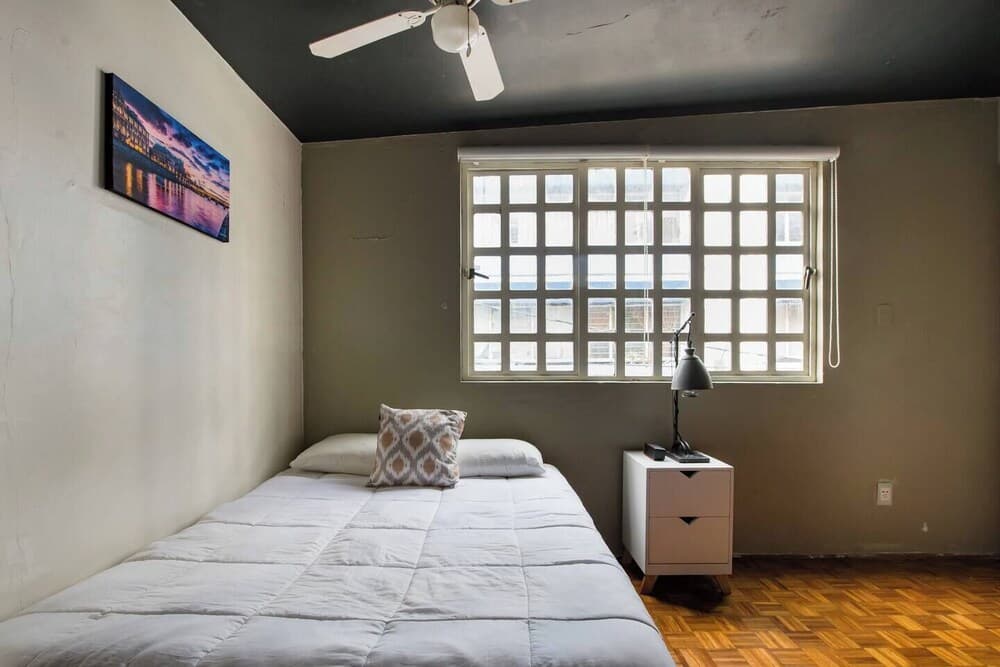 Del Lago Lofts - Nativitas, Mexico City, photo 2