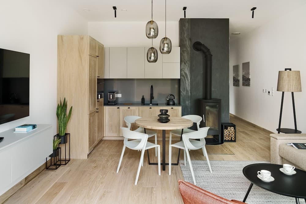 Korona Bieszczad Premium Apartments, Cisna, photo 6