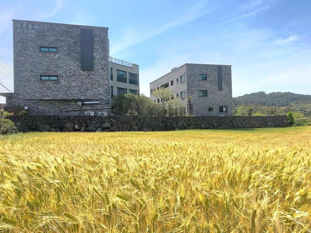 Bookchon Place Jeju, Jeju City