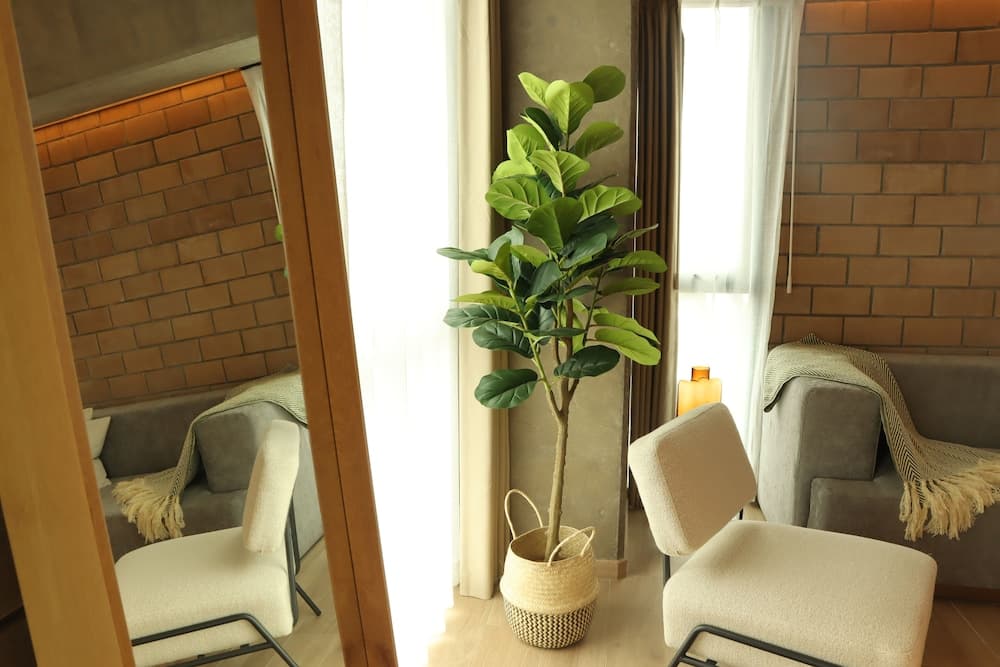 Hotel Mutuo Vive, Guadalajara, photo 6