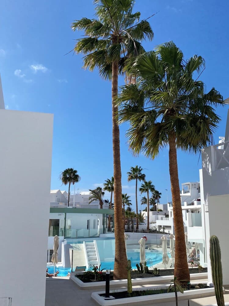 Kikerestudios, Puerto del Carmen, photo 2