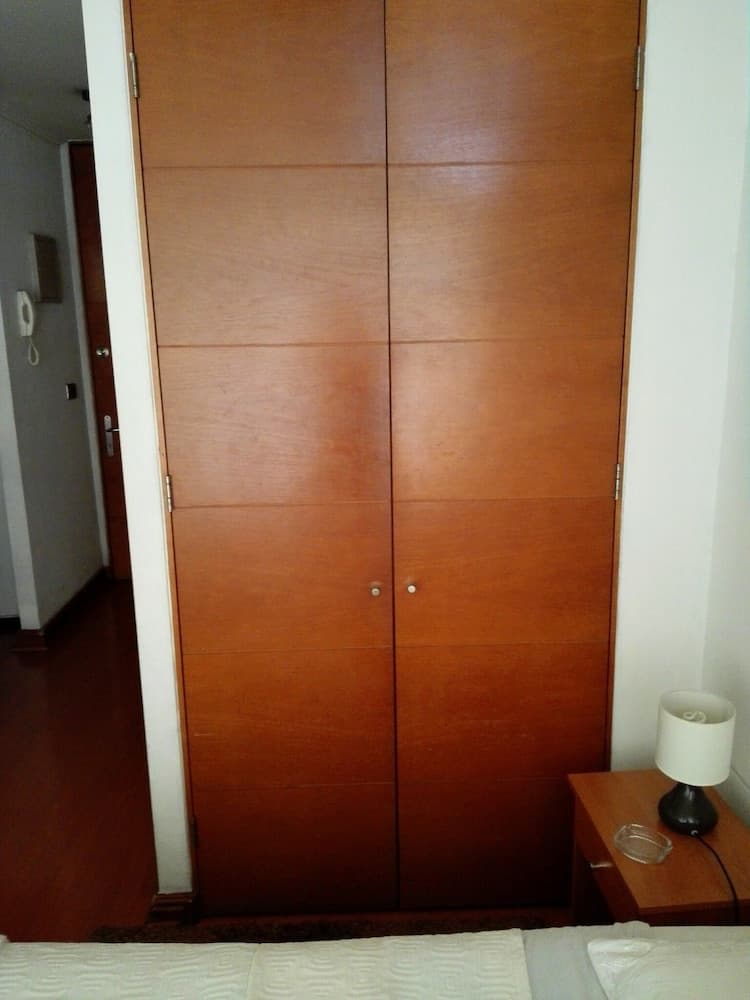 Deptos Providencia SM, Santiago, photo 4