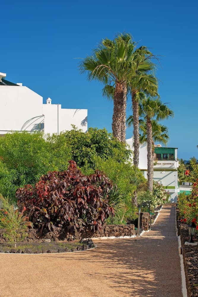 Apartamentos Camels Spring, Teguise, photo 6