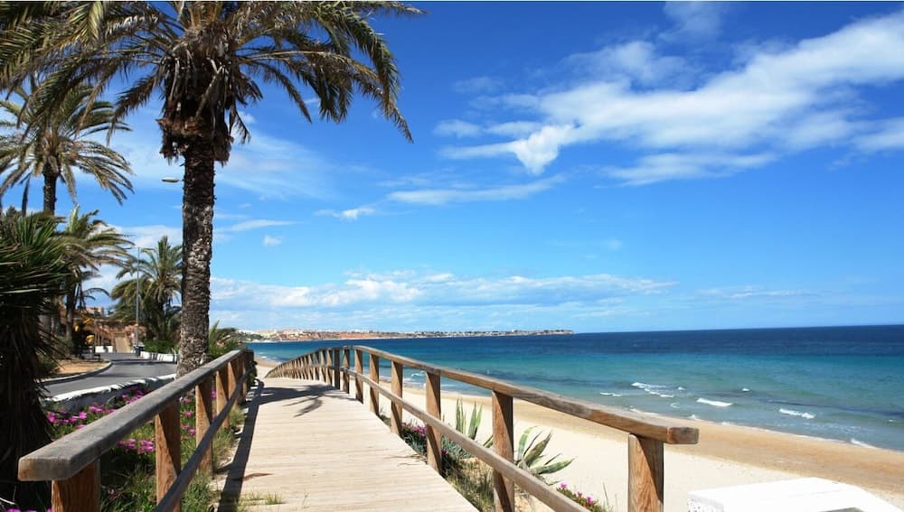 Apartamentos Palmera Beach, Orihuela, photo 3