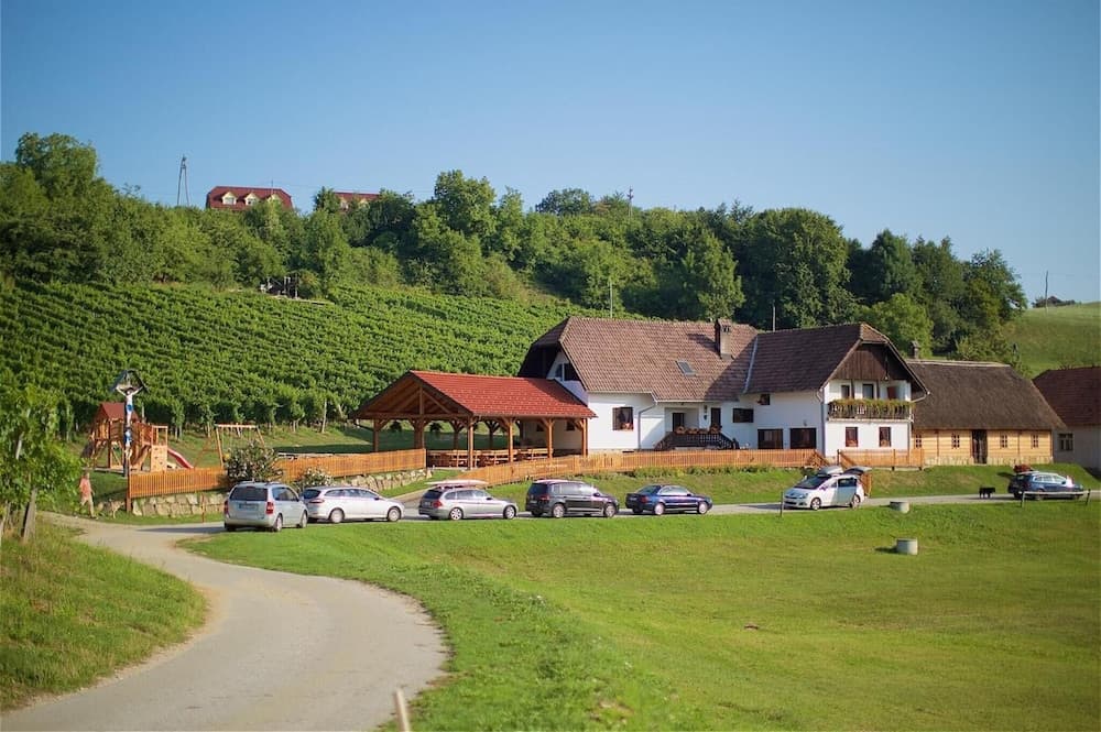 Apartments Lovrec, Destrnik, photo 4