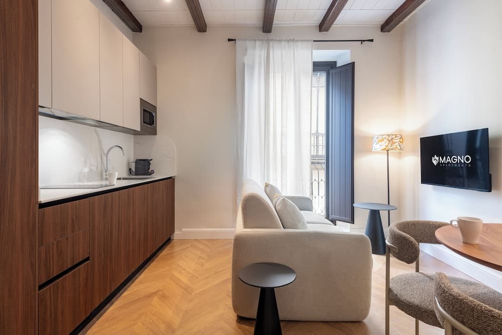 Magno Apartments Santa Bárbara, Seville, photo 2