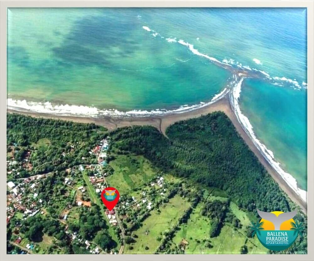 Ballena Paradise Aparta Hotel, Ballena, photo 5