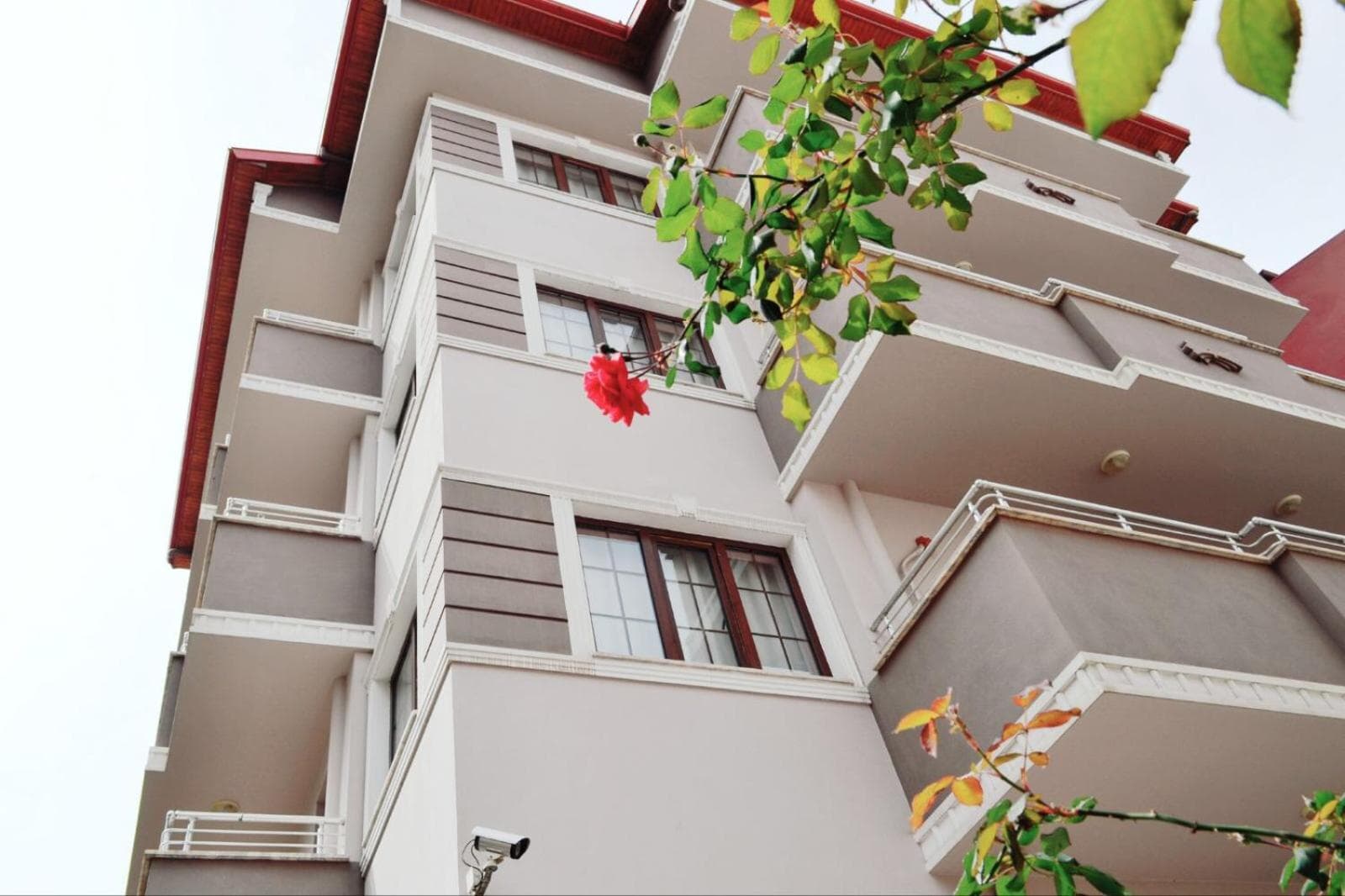 The Twins Apartmens, Trabzon, photo 3