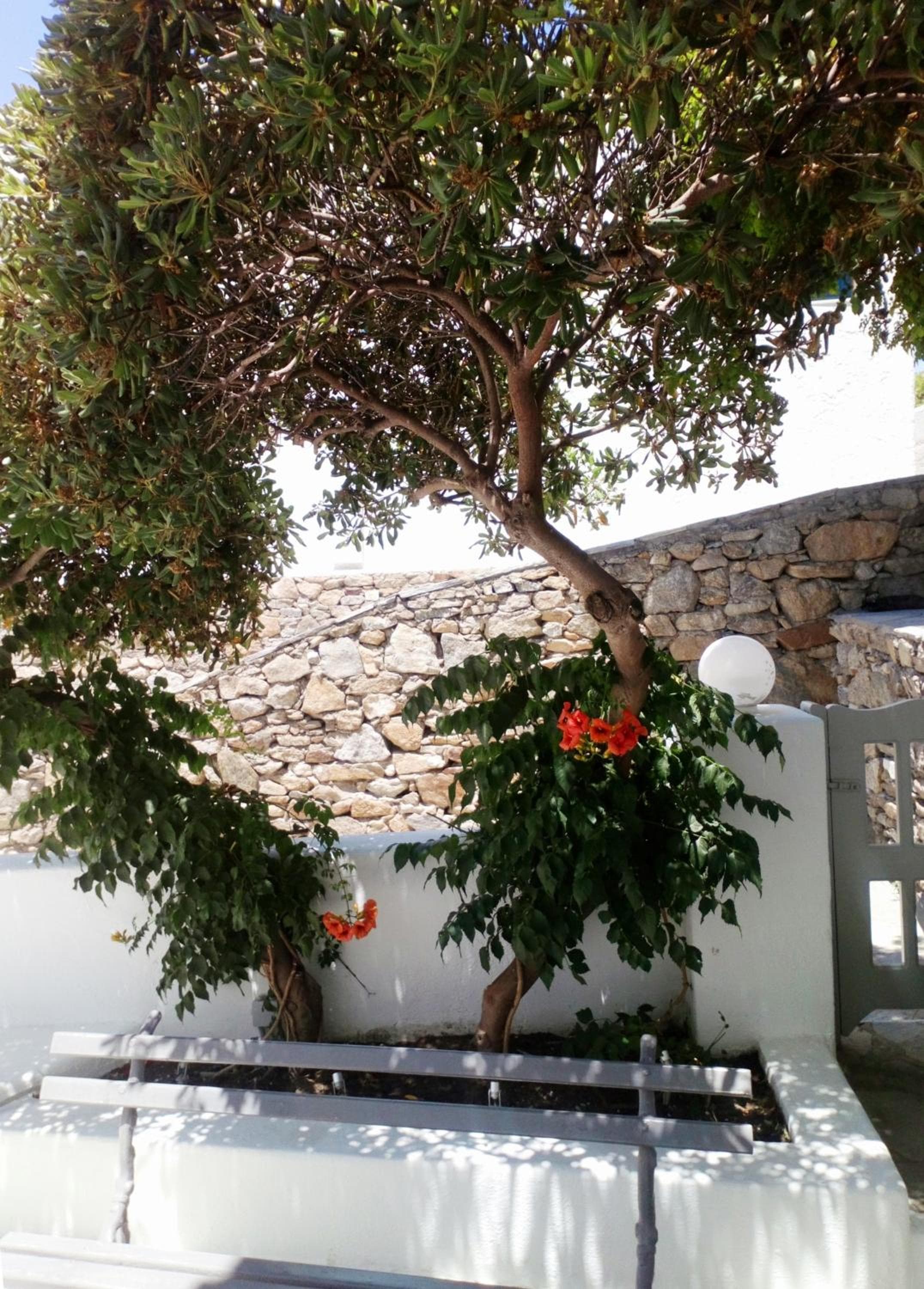 Island Mykonos Suites, Mýkonos City, photo 2
