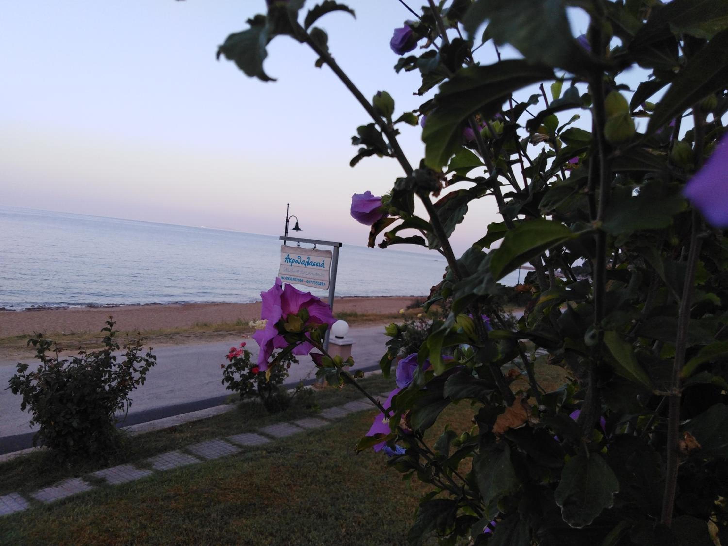 Akrothalassia, Ligia, photo 5