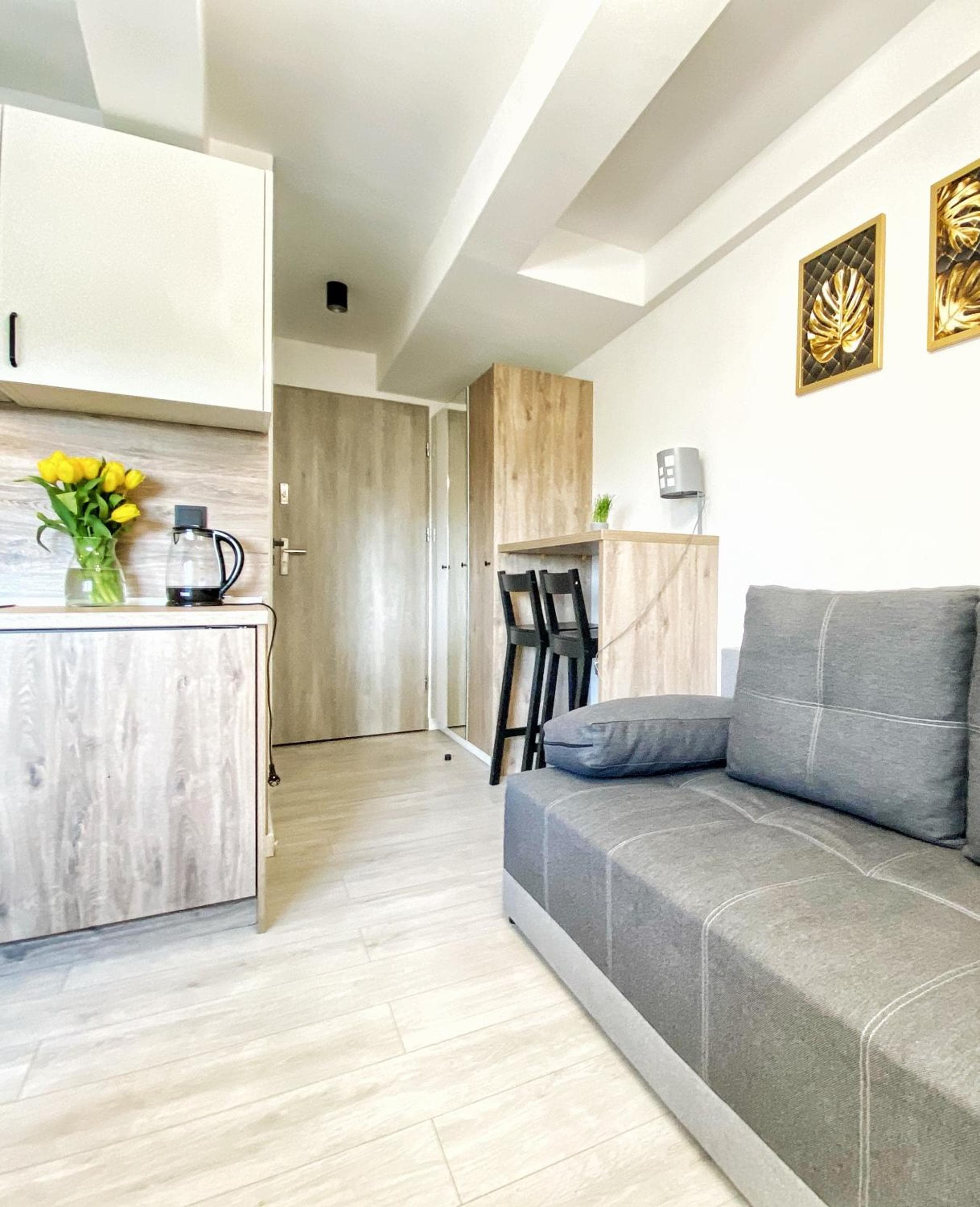 BP Apartment VI, Toruń, photo 3